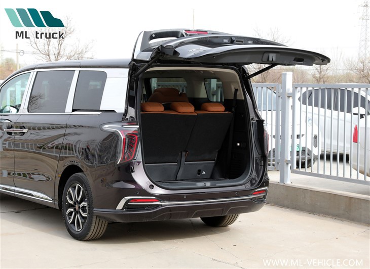 HongQi HQ9