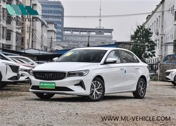 Objavljen model Geely Direct Champion Edition 2023