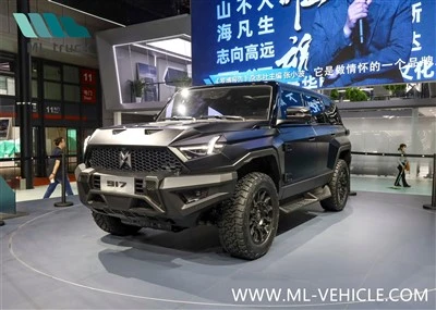 DongFeng MengShi M-Heroj 917